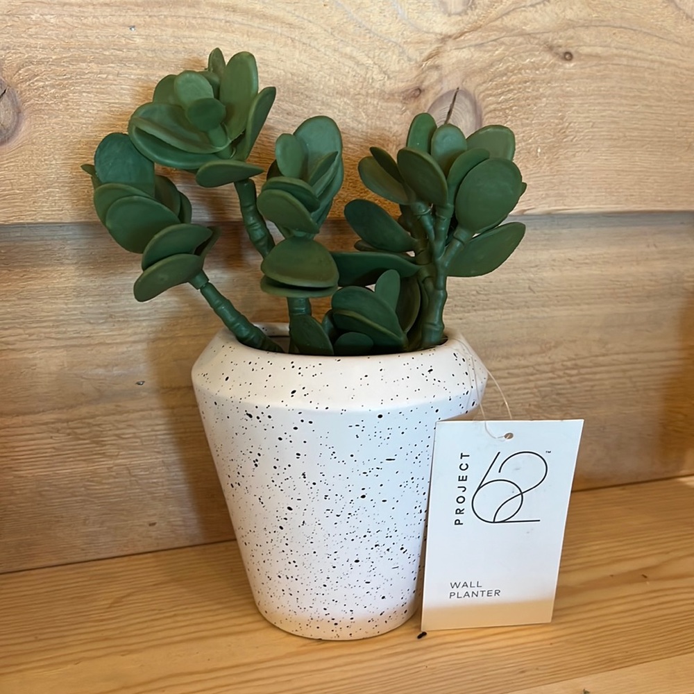 NWT Project 62 Wall Planter with Faux Succulents Approx 9”x 5”
